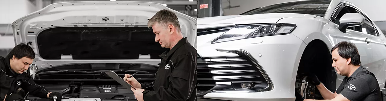 Toyota National Geographic